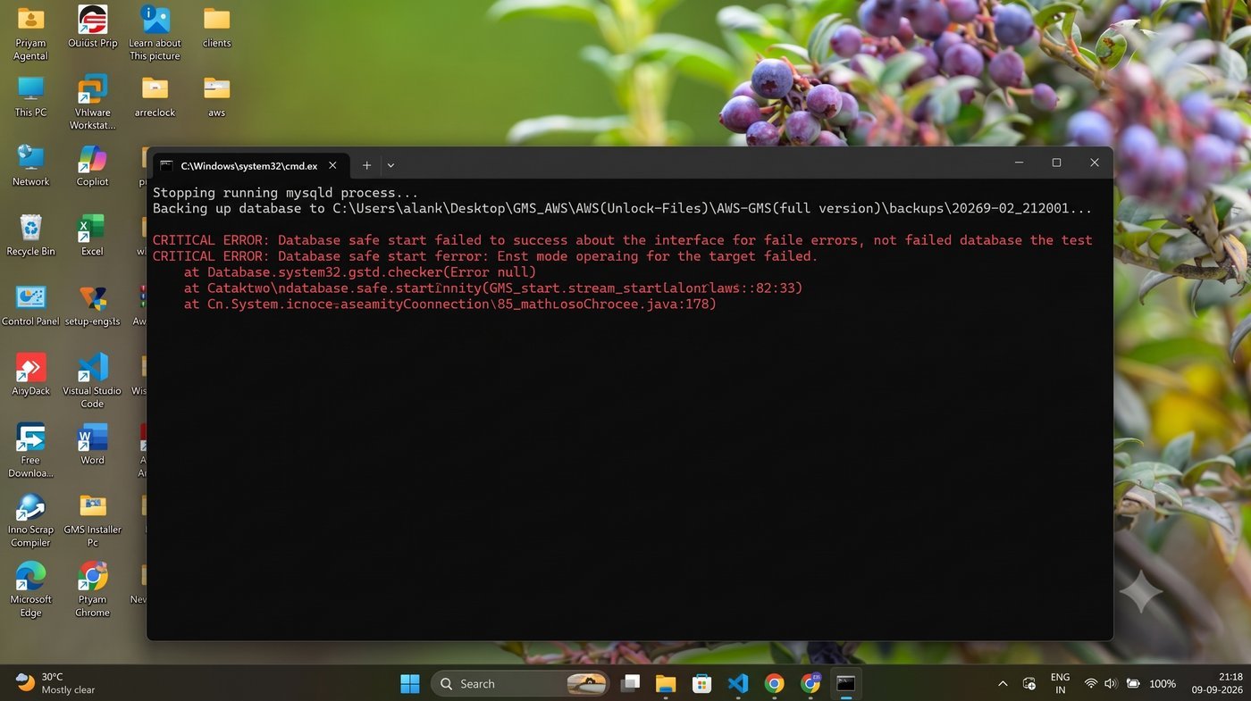 Girvi Management System — command window showing database safe-start check, including possible red error text on first run